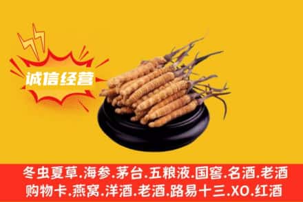 盘锦市盘山回收冬虫夏草